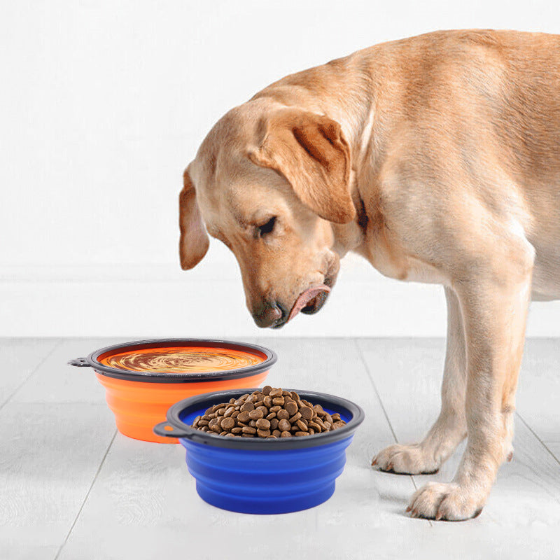 Portable collapsible pet bowl for dogs and cats by Lavish Kitchen Isle, featuring flexible design for water and food.