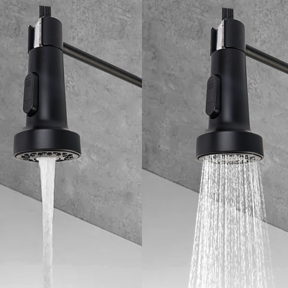 Monobloc Kitchen Sink Mixer Tap with Pull Out Hose Sprayer Single Lever