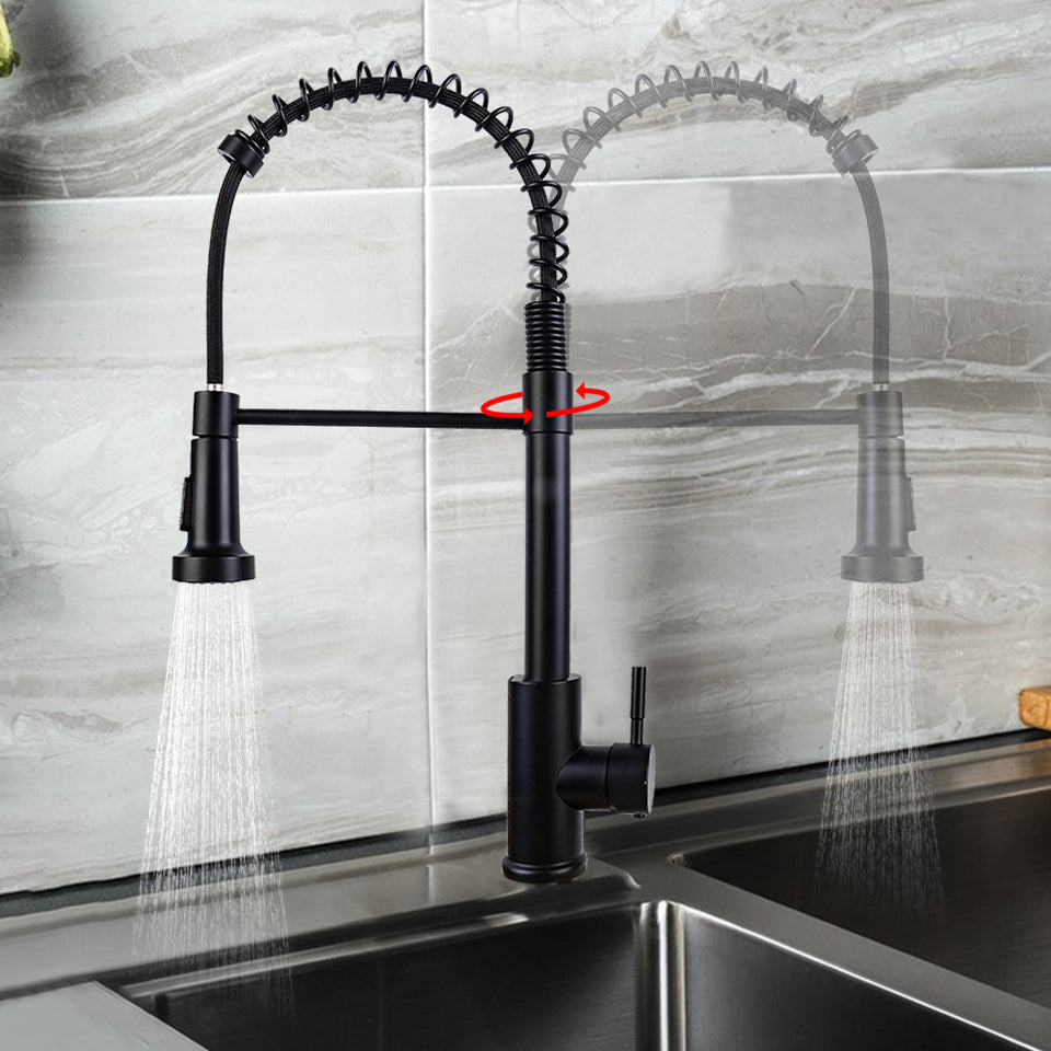Monobloc Kitchen Sink Mixer Tap with Pull Out Hose Sprayer Single Lever
