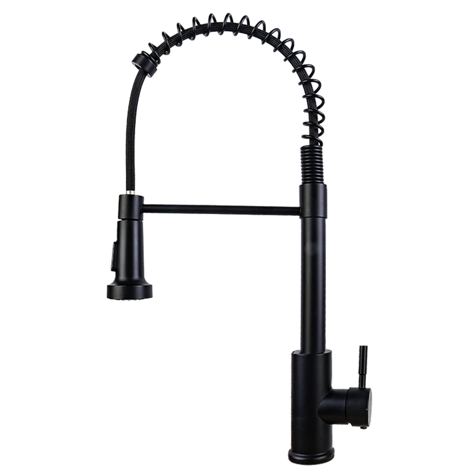 Monobloc Kitchen Sink Mixer Tap with Pull Out Hose Sprayer Single Lever