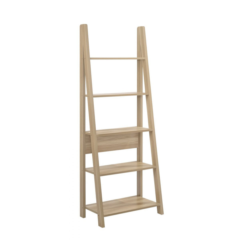 5 Tier Ladder Shelving Storage Shelves  Bookcase Unit