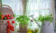 Springtime Kitchen Essentials: Stocking Up on the Best Tools and Supplies for the Season