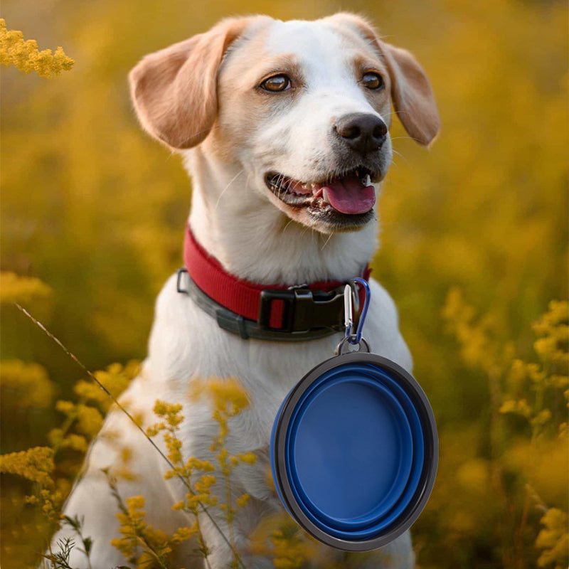 Lavish Kitchen Isle collapsible pet bowl for dogs and cats, portable water and food bowl with flexible design for travel.