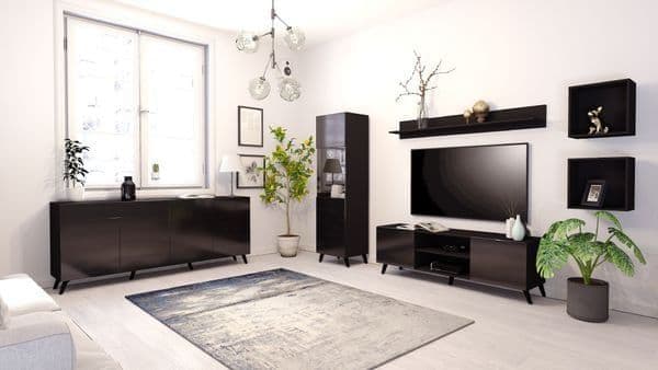 The Matte Black Large TV unit with 2 doors and 1 open shelf