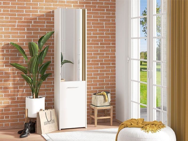 Full-Length Mirrored Shoe Storage Unit – Holds 30 Pairs