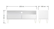 Fifi-Mo White TV Stand Cabinet Unit with 2 Drawers – Modern High Gloss TV Unit with Gold Legs