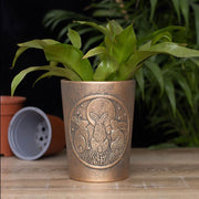 Moon Shadows Bronze Terracotta Plant Pot by Lisa Parker - Lavish Kitchen Isle