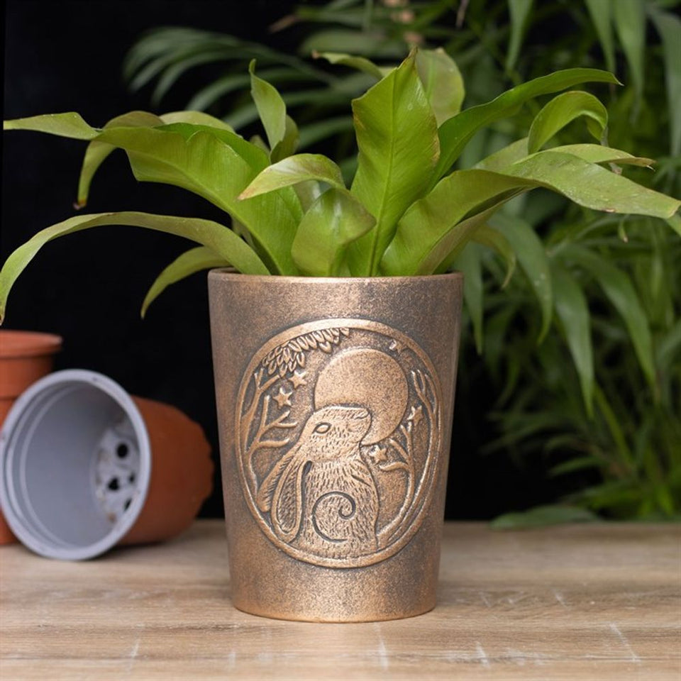 Moon Gazing Hare  Bronze Terracotta Plant Pot by Lisa Parker