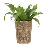Moon Shadows Bronze Terracotta Plant Pot by Lisa Parker - Lavish Kitchen Isle